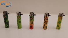 ACCENDINO FOGLIA MARIA