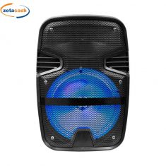 CASSA WIRELESS 15W RGB LED