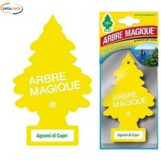 ARBRE MAGIQUE AGRUMI DI CAPRI