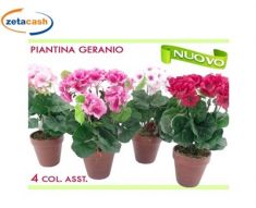 VASO PIANTINA GERANIO 4COL ASS H36CM