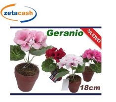 VASETTO CON PIANTA DI GERANIO H 16 CMX 6