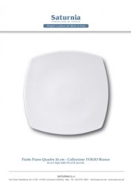 PIATTO PIANO IN PORCELLANA BIANCO DIAM 26 CM TOKIO