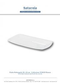 PIATTO RETTANGOLARE BIANCO 30 X 18 CM SATURNIA