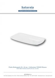 PIATTO RETTANGOLARE BIANCO TOKIO 25 X 14 CM