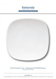 PIATTO PORTATA DANUBIO BIANCO CM. 31 SATURNIA