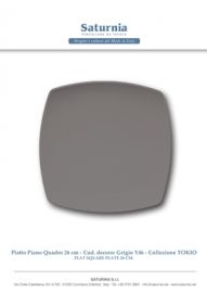PIATTO PIANO QUADRATO CM. 26 PORCELLANA GRIGIO LINEA TOKIO SATURNIA