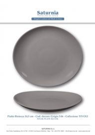 PIATTO BISTECCA TIVOLI GRIGIO CM. 30,5 SATURNIA