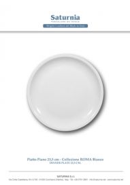 PIATTO PIANO IN POPRCELLANA 24 CM SATURNIA ROMA