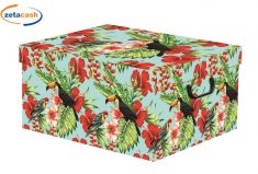 BOX TROPICAL PER INDUMENTI CM 50X39X25