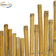 CANNETTE BAMBU 3 PEZZI DIAMETRO 14 MM X H1.50 CM.