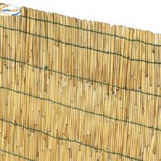 ARELLA CINA 2,5X4 CONFEZIONATA