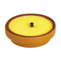 CITRONELLA CON ALLUMINIO IN VASO TERRACOTTA RIUTILIZZABILE