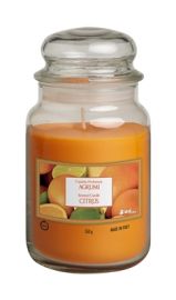 CANDELA PROFUMATA 550gr AGRUMI