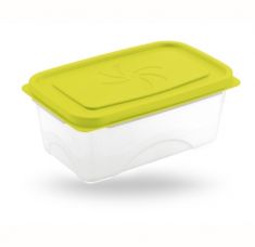 CONTENITORE ASTER PLASTICA RETTANGOLARE ASS.