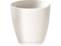 SECCHIO SPUMANTE CM22X16X2