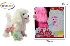 CAGNOLINO BARBONCINO FILOGUIDATO 2 COL ASS