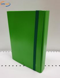 CARTELLA PROGETTO JUST DORSO 6 COLORE VERDE MELA