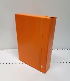 CARTELLA PROGETTO JUST DORSO 8 COLORE ARANCIONE