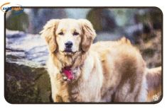 TAPPETO CON STAMPA ANIMALI CM 44X75