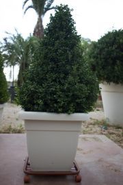 CARRELLO PORTA PIANTE QUADRATO CM 38X38 COLOR COTTO