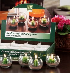 CANDELA PIANTINA GRASSA IN BICCHIERE VETRO