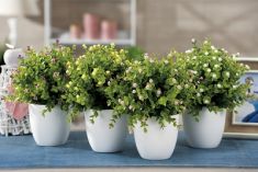 VASO CON FIORI ARTIFICIALI