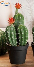 VASO CON CACTUS CON 2 FIORI