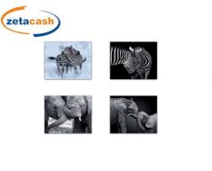 QUADRO ANIMALI IN TELA CM 40X50