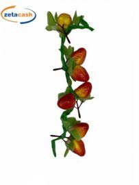 GRAPPOLO DI FRAGOLE LOCALI