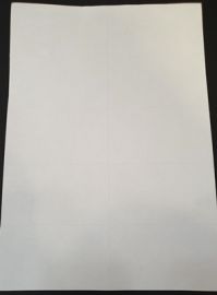 CONFEZIONE 100 FOGLI 1000 ETICHETTE ADESIVE CM. 105X59