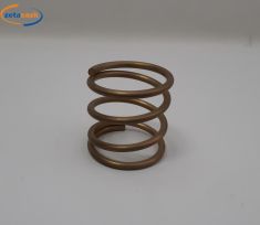 MOLLA PER MACCHINA SPREMIPOMODORO