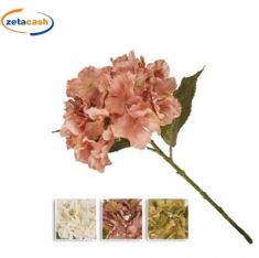 FIORE ORTENSIA SINGOLA COL ASS