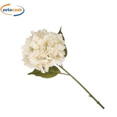 ORTENSIA SINGOLA CM 60 COLORI ASSORTITI