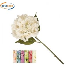 ORTENSIA SINGOLA COLOUR CM 60 COLORI ASSORTITI