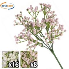 BUSH NEBBIOLINA NEW 33 CM COL ASS