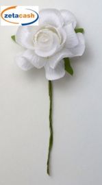 CONF 36 ROSA VESUVIO BIANCA 5 CM