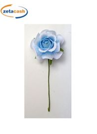 CONF 36 ROSA VESUVIO AZZURRO 5 CM