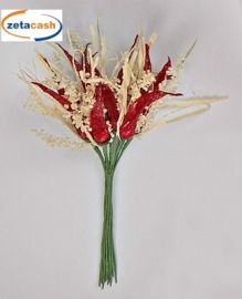 CONF 24 PEPERONCINO CON GIPSOPHILA NATURALE