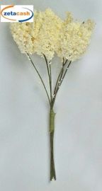 CONF 36 STELI CORALLO PICCOLO PANNA