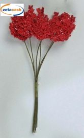 CONF 36 STELI CORALLO PICCOLO ROSSO