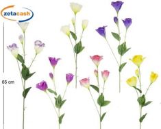 STELO 4 EUSTOMI H65CM COL ASS