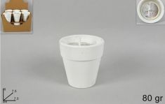 CITRONELLA IN VASO TERRACOTTA BIANCO D. CM. 7,8 - H. CM. 8