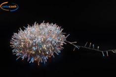 SERIE 768 LED MULTICOLORE COMANDO MOVIMENTO E APP. ANDR/GOOG