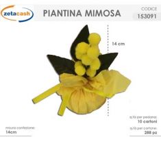 PIANTINA MIMOSA ARTIFICIALE H13 CM