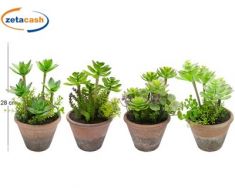 VASO TERRACOTTA PIANTA GRASSA H28 D15 CM ASS