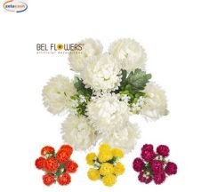 MAZZETTO MEDIO CRISANTEMI D23XH44 CM COL ASS