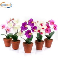 VASO MEDIO FALENOPSIS H28CM ASS