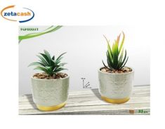 VASO IN CERAMICA VERDE CON PIANTA ASS H16 X Ø9 CM