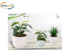 VASO IN CERAMICA BIANCO CON PIANTA ASS H24 X Ø12 CM