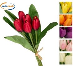 MAZZO P. TULIPANI OLANDA X5 COL ASS